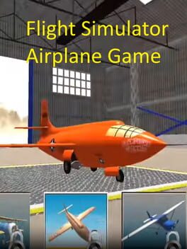 airplane flight simulator